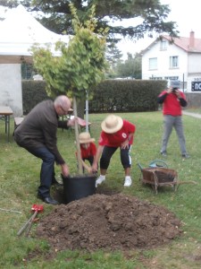 Planter un arbre pour se souvenir. Bonne idée !