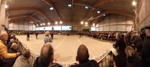 20190202_162904 (2)